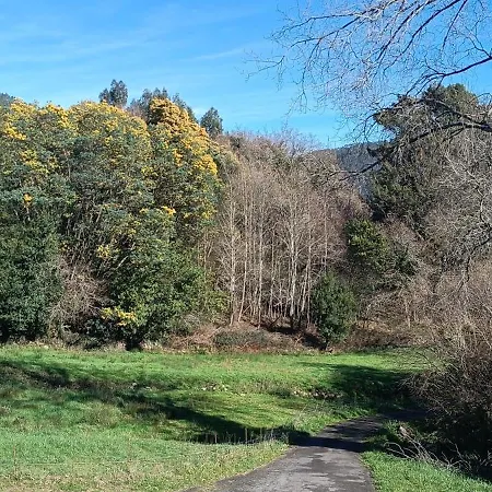 La Casuca Entre Tinas * Pesués